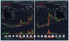 比特币钱包恢复失败的原因及解决方案