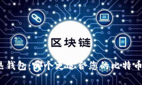 冷钱包与热钱包：哪个更适合您的比特币存储需求？
