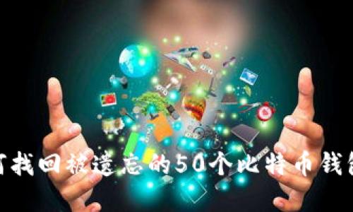 : 如何找回被遗忘的50个比特币钱包密码