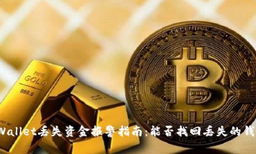 tpWallet丢失资金报警指南:能否找回丢失的钱款?
