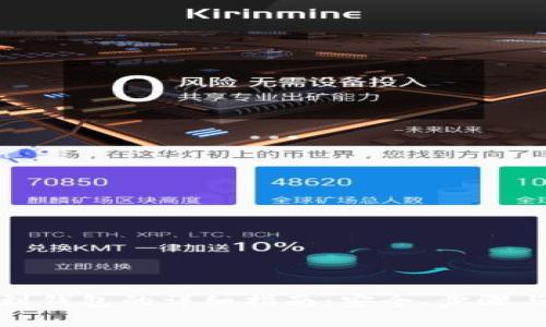 屎币转移到钱包的详细指南:安全、步骤与注意事项