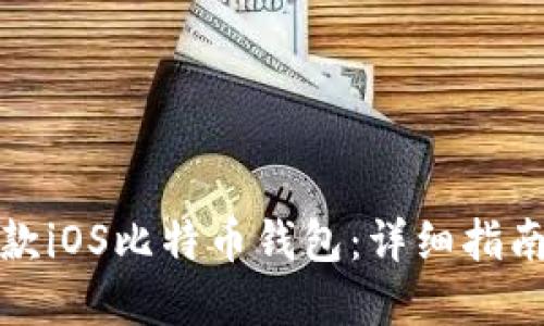 如何开发一款iOS比特币钱包:详细指南与实用技巧