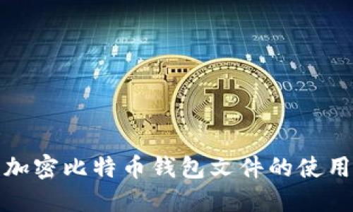 完整了解加密比特币钱包文件的使用与安全性