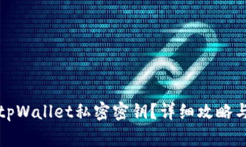 如何找回tpWallet私密密钥?详细攻略与注意事项