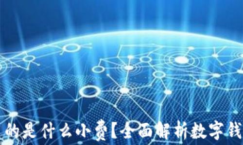 
tpWallet使用的是什么小费？全面解析数字钱包的费率结构