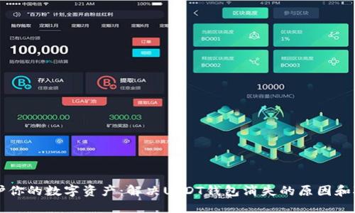 保护你的数字资产:解决USDT钱包消失的原因和对策