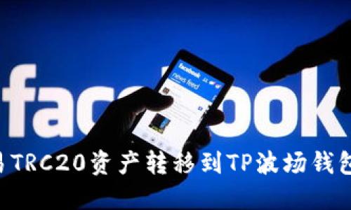如何将欧易TRC20资产转移到TP波场钱包:详细指南