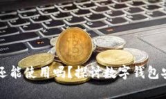 被盗的TP钱包还能使用吗？探讨数字钱包安全与恢