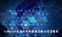 tpWallet无法打开的原因及解决方案解析