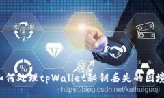 如何处理tpWallet秘钥丢失的困境？
