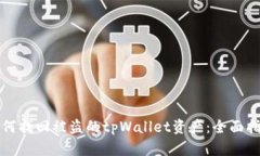 如何找回被盗的tpWallet资产：全面指南