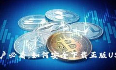 苹果用户必看：如何安全下载正版USDT钱包