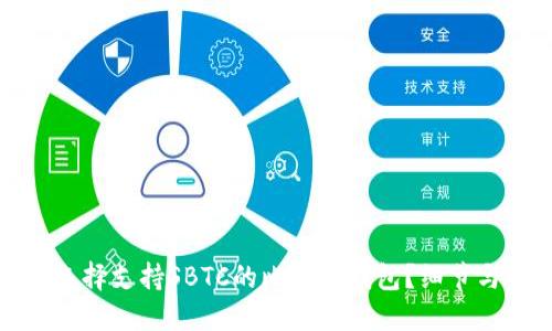 如何选择支持SBTC的比特币钱包？细节与建议